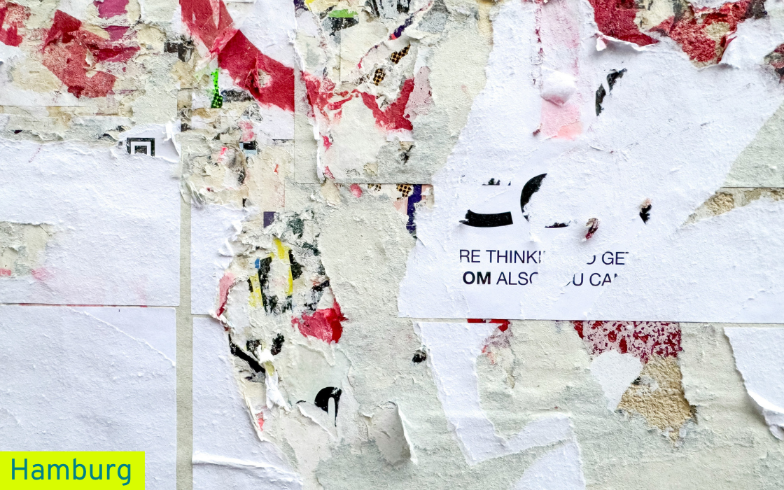 Socius Labor 11-2024