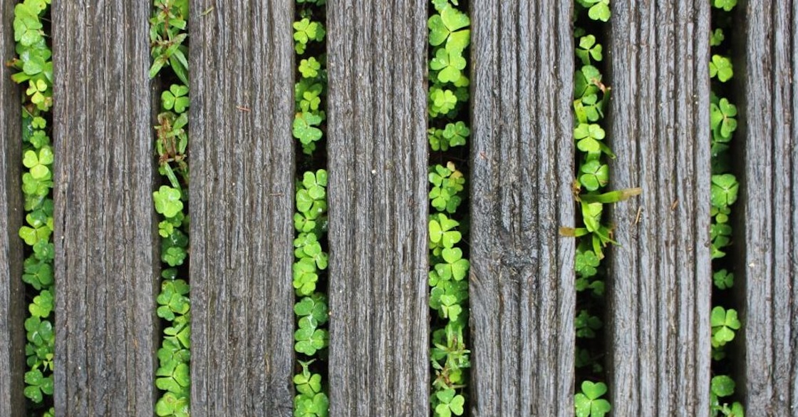 diversitaetssensibililtaet-cover